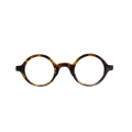 Color Vision